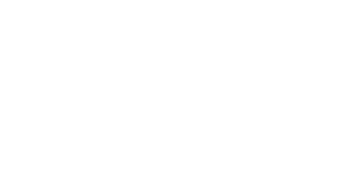 Experience